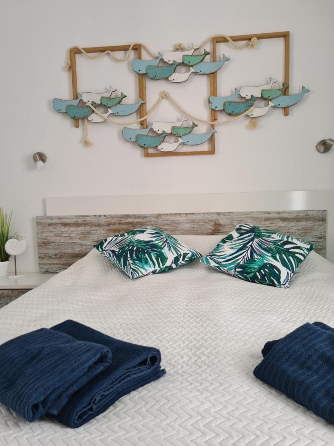 Ocean Forty C Apt. Green Oasis Costa Calma Fue Eksteriør billede